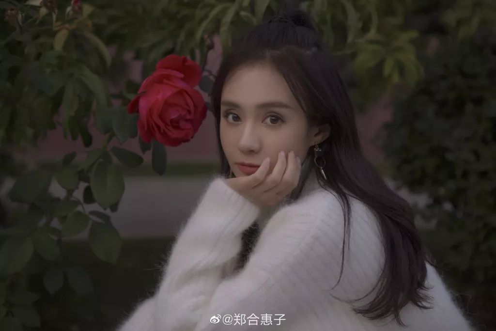 郑合惠子